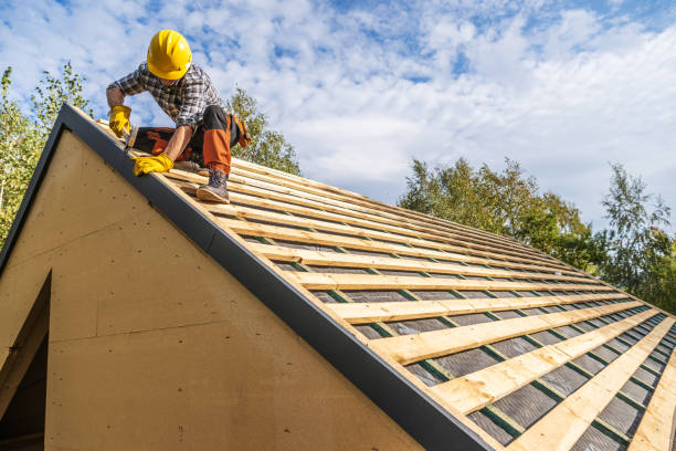 Best Metal Roofing Contractor  in Omao, HI